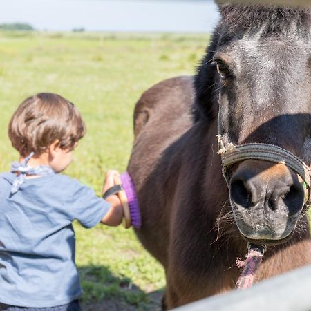 Apartmán Friesenhof Janssen - Urlaub Auf Dem Bauernhof Neuharlingersiel Exteriér fotografie