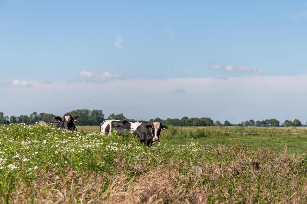 Apartmán Friesenhof Janssen - Urlaub Auf Dem Bauernhof Neuharlingersiel Exteriér fotografie